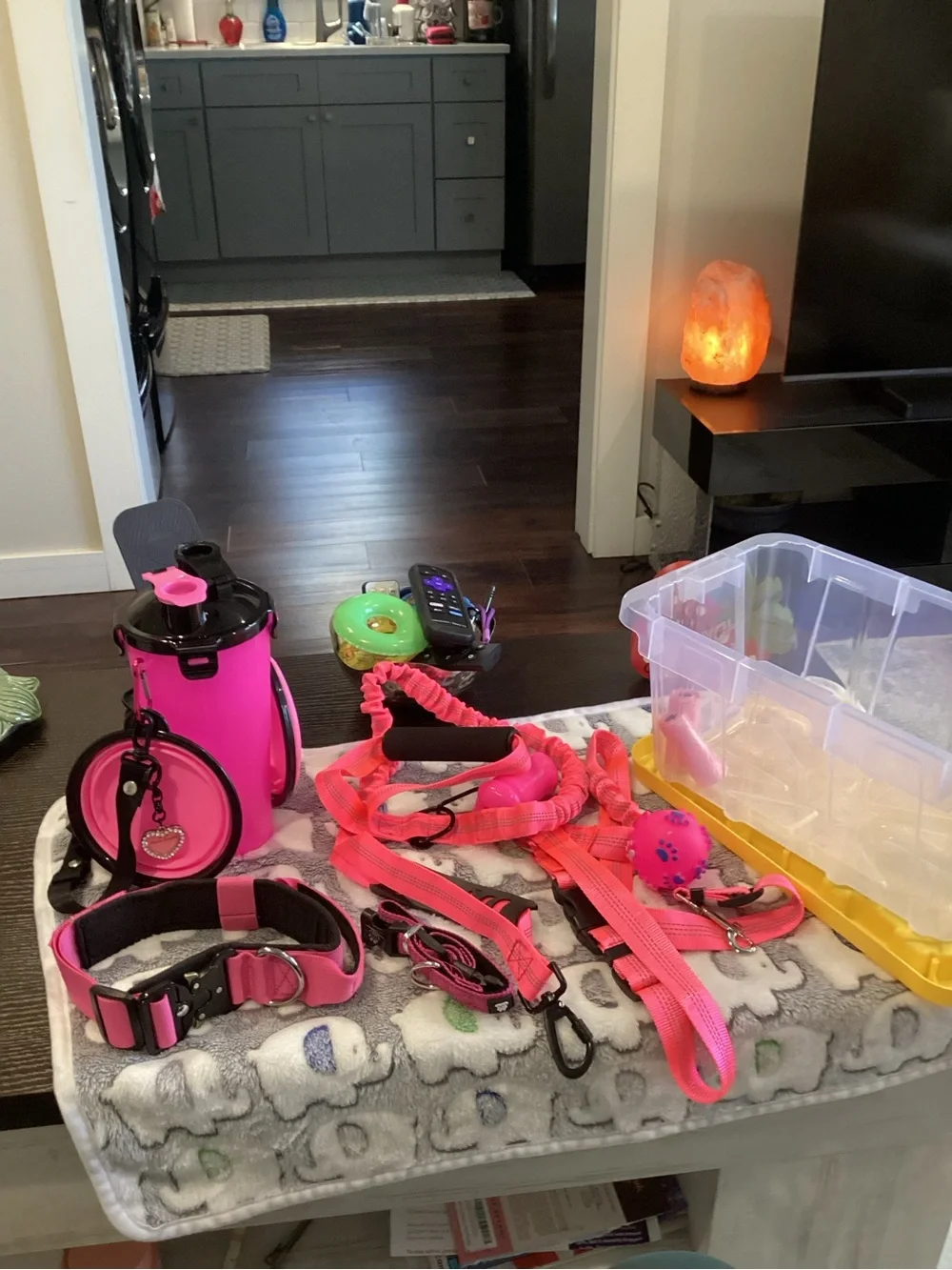 NWOT - Hot Pink Water & Food Btle w/Blk Strap, Leash, Car Restraint, & Collar!!!